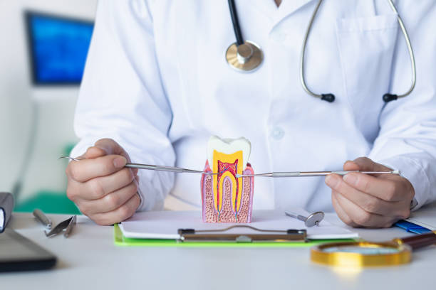 Best Emergency Gum Pain Relief  in Ravensworth, VA